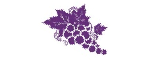 cavedefrance.com (FR)
