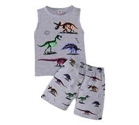 0-6 Ans, Tout-Petits Garçons 2 Pièces Débardeur Et Short Ensemble Vêtements D'été Coton Dinosaure Imprimé Chemises Et Shorts Enfants Tenues (Grey, 5-6 Years)