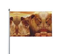0,9 x 1,5 m - Drapeau décoratif imprimé lion africain - Intérieur et extérieur - Convient pour accrocher dans le jardin, le porche ou le salon (mât non inclus)