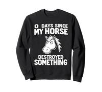 0 Jours Depuis Que Mon Horse A Détruit Quelque Chose Sweatshirt
