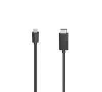 Câble vidéo, fiche USB-C - fiche DisplayPort, Ultra-HD 4K, 1,50 m