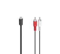 [00200730] Hama Câble audio, fiche USB-C - fiche RCA mâle, stéréo, 1,50 m
