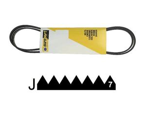 0020300383. COURROIE 1966 H8 PROLINE