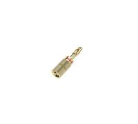 00205201 connecteur de fils Banana Or