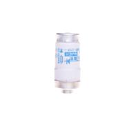 004312005 Fusible D02 63A gR 400V ULTRA-QUICK