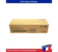 Xerox Rouleau de transfert 008R13064