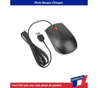 00PH133 Souris Noir