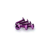 Puig 0689l Blister 6 vis, bombé, M6, 25 mm, Couleur Lilas