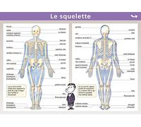 07.SQUELETTE/MUSCLES - MINI POSTER LE PETIT NICOLAS
