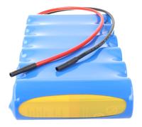 0860-0109 Batterie rechargeable Hawker 0860-0109 12 Volt 4,5 Ah