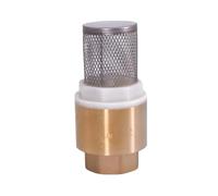 1-1/2" BSPP Female Brass Check Valve Non-Return with Steel Strainer Filter for Water Plumbing