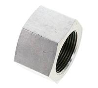 1 1/4'' NPT Bouchon de fermeture en acier zingué avec Hex 80 Bar extérieur