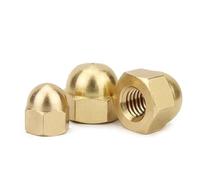 1/10/20/50Pcs M3 M4 M5 M6 M8 M10 M12 M14 M16 Capuchon En Laiton Écrous Hexagonaux Décoratif Dôme Tête Couverture Demi-Cercle Écrou De Gland(M16 (1pc))