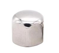 1/10 pièces 304 En Acier inoxydable Hexagonal Décor Court Bas Couvercle Cap Écrou De Gland for M3 M4 M5 M6 M8 M10 M12 M14 M16 boulon à vis(M14)