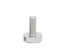 1/10Pc GB37 M5 M6 M8 M10 M12 304 A2 En Acier Inoxydable, Type Forme De T, Vis À Tête Marteau, Boulon Rainure For Rail Goulotte Fente, Piste Onglet(35mm,10pcs M6)