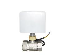 1/2" 3/4" 1" Stainless Steel Electric Ball Valve Three Wire Two Control Two Way 220V 24V 12V Electric Actuator Internal Thread S(1",220VAC)