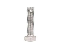 1/2/5 pièces M6 M8 M10 M12 M14 304 trou de queue en acier inoxydable vis hexagonales externes GB31.1 avec corps(25mm,M8(5pcs))