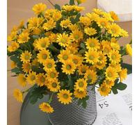 1/3/5 pièces Bouquet de fleurs de marguerite artificielles, coffret cadeau de la Saint-Valentin, décoration pour mariage, bouquet de mariée, corsage de poignet, boutonnière, décoration de vase à la ma