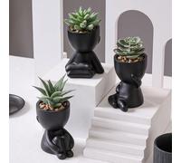 1/3pièces Plantes succulentes artificielles, pot de succulente individuel petit, 3 formes disponibles, design de dessin animé, matériau PP, matériau PE, vert, décoration de bureau, décoration intérieu