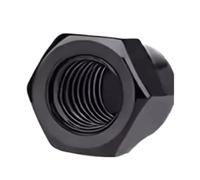 1/5/10pc 304 M3 M4 M5 M6 M8 M10 M12 A2-70 Noir En Acier Inoxydable Hexagonal Écrou Borgne Couvercle Décoratif Écrous De Dôme(M10-1Pcs)