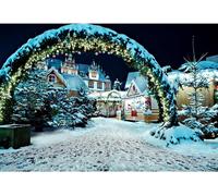 1,5x1m Vinyle Toile de Fond Noël pin Arbre brindilles balles Arche Porte Lourd Neige Village Maison Hiver noël Fond Décors Studio Photo Portrait Enfant Video Fete Photographie Accesorios