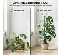 1/6/12 pièces Ensemble de tuteurs de support pour plante Monstera 5 tuteurs + 1 rouleau 1m de ruban auto-agrippant empilable, support de vigne haut et durable pour la tige de plante grimpante, jardin
