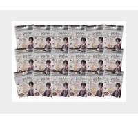 1:64 JADA Figures Set 18X Mistery Figure Harry Potter Various 253181001-84529