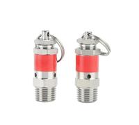 1/8" 1/4" BSPT Male 0.5-10 Bar 304 Stainless Steel 04 Stainless Sanitary Spring Pressure Valve Air Compressor OSBCMZGE(0.05mpa 0.5 Bar,1l4 BSPT)