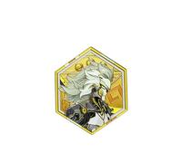 1 badge Zenless Zone Zero Badge périphérique mignon de dessin animé en alliage accessoire pour les fans, ONE SIZE, Métal