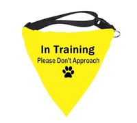 1 bandana Dot Not Approach/Please Approach Slowly Nervous Dog Shy Rescue Nervous Timide Cadeau pour chien (veuillez ne pas approcher N)