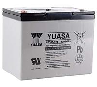 1 batterie au plomb AGM 12 V / 80 Ah Yuasa - REC80-12I - Compatible avec 60 Ah, 75 Ah, 77 Ah.