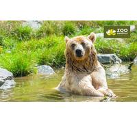 1 billet adulte pour le Zoo d Amnéville