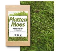 1 boîte de mousse véritable - Décoration en mousse naturelle à bricoler dans différentes variétés fraîches - DIY - Mousse islandaise, mousse de boulele, mousse de sphaigne (100 g de mousse préservée)