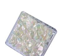 1 boîte de tranches de coquillages irrégulières, décorations pour Nail Art, grands bijoux de manucure naturels à faire soi-même, accessoires de décoration de beauté, breloques pour Nail Art