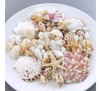 1 boîte d'environ 100 pièces de coquillages, convient pour la fabrication de bijoux DIY, la décoration de l'aquarium/salle de bain, les décorations de fête, de mariage à la bougie, l'artisanat fait ma