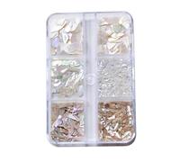 1 boîte Mica tranche ormeau coquille flocon Nail Art paillettes irrégulière ongles paillettes Design japonais strass décor manucure-blanc