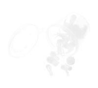 1 Boîte Modèles de Remplissage en Résine Époxy pour Pendentif
