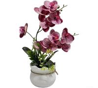 1 bouquet de fleurs d'orchidée phalaenopsis artificielles dans un pot en grille avec pétales réalistes et feuilles douces au toucher pour la maison, le bureau, la décoration intérieure 30 cm (poudre à