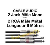 1 Câble 2 Jack Mâle MONO vers 2 RCA Mâle Fiches Métal Repérées Long 6 Métres