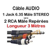 1 Câble Jack 6,35 Mâle STEREO vers 2 RCA Mâle Fiches Surmoulées repérées 3 Métre