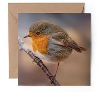 1 carte de vœux - Rouge-gorge européen rouge oiseau Angleterre - Vierge anniversaire de mariage #50843