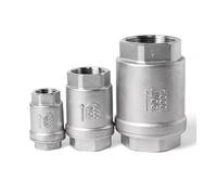 1 clapet anti-retour à ressort en ligne BSPT en acier inoxydable SS304 SS316 filetage intérieur vertical DN15 DN25 (1/2", SS304)