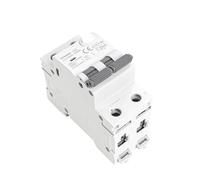 1 disjoncteur différentiel magnétique GYR9NM type A RCBO 2P 4P avec protection contre les surintensités 10A 16A 25A 32A 40A 30mA(2P 16A 30mA)