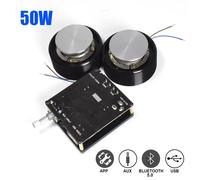 1 ensemble 50W 2.0 HIFI Vibration haut-parleur Portable stéréo Audio haut-parleur Bluetooth 5.0 amplificateur système bricolage Home cinéma 1 set with power