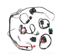 1 Ensemble Complet Bobine Faisceau Câbles Pour Moto ATV Quad Pit Bike Buggy Go Kart Pour 50cc Pour 110cc Pour 125cc Fils Magnéto Stator