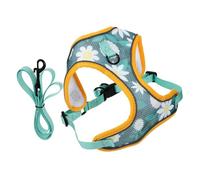 1 Ensemble de Laisse pour Animaux de Compagnie, ceinture de sécurité Verte pour Chien, Harnais de Marche pour Chien, Harnais d'extérieur pour Chien, Harnais pour Chiot (Vert 22x21x3cm)