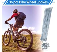 1 Ensemble De Rayons De Vélo 12G Rayons De Roue De Vélo En Acier Au Carbone Galvanisé Universel Ton Argent Téton 230 mm