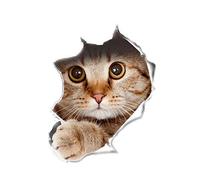 1 feuille d'autocollants muraux 3D drôles chat chien trou vue salon décalcomanie murale siège de toilette couvercle autocollant mural art poster fond pour salle de bain chambre chat # pratique et