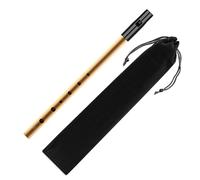 1 flûte en tôle à six trous et 1 étui pour flûte à bec Penny Whistle, pipe en alliage d'aluminium pour débutants, outil d'instrument en forme de D pour les spectacles de groupe.