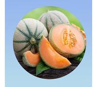 1 gramme de graines melon charentais - plus de 30 graines -Planète graines -
